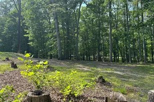 3587 Monarch Ln, Midland, VA 22728 - Photo 14