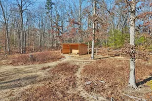 13445 Blackwells Mill Rd, Goldvein, VA 22720 - Photo 86