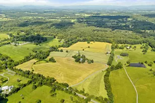 3418 Halfway Rd, The Plains, VA 20198 - Photo 86