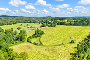 3418 Halfway Rd, The Plains, VA 20198 - Photo 106