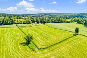 3418 Halfway Rd, The Plains, VA 20198 - Photo 104