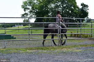 3959 Cobbler Mountain Rd, Delaplane, VA 20144 - Photo 76