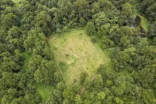 3959 Cobbler Mountain Rd, Delaplane, VA 20144 - Photo 96