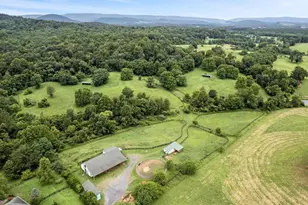 3959 Cobbler Mountain Rd, Delaplane, VA 20144 - Photo 98