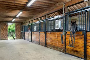 3959 Cobbler Mountain Rd, Delaplane, VA 20144 - Photo 80