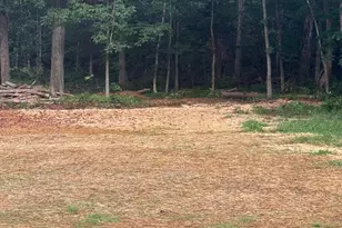 9653 Woodbrook Ln, Midland, VA 22728 - Photo 62