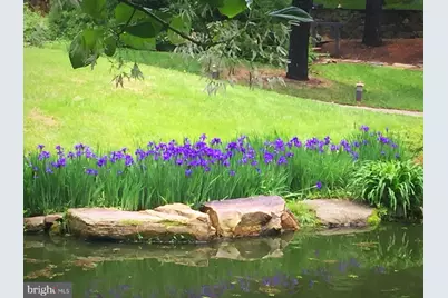 7263 Little River Lane, The Plains, VA 20198 - Photo 66