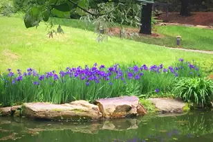 7263 Little River Ln, The Plains, VA 20198 - Photo 66