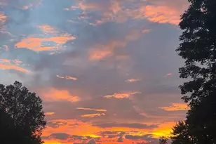 7263 Little River Ln, The Plains, VA 20198 - Photo 60