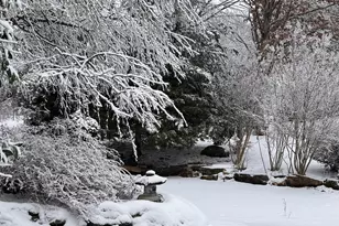 7263 Little River Ln, The Plains, VA 20198 - Photo 50