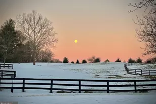 7263 Little River Ln, The Plains, VA 20198 - Photo 48