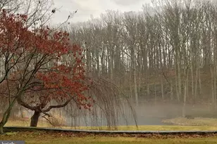 7263 Little River Ln, The Plains, VA 20198 - Photo 56