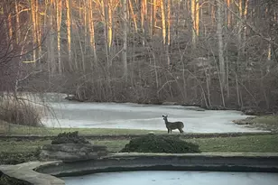 7263 Little River Ln, The Plains, VA 20198 - Photo 54