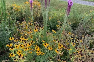 9178 Hannah Dustin, Casanova, VA 20139 - Photo 50