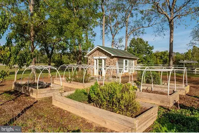 1787 Light Horse Lane, Delaplane, VA 20144 - Photo 44