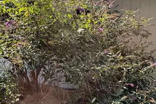 5084 Fairview Ln, Broad Run, VA 20137 - Photo 34