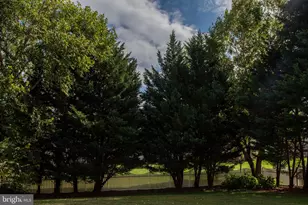 335 Preston Dr, Warrenton, VA 20186 - Photo 74