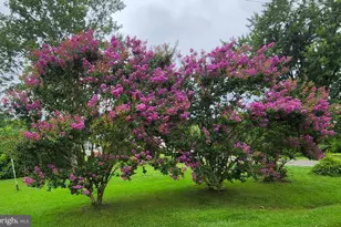 13206 Golden Dr, Sumerduck, VA 22742 - Photo 6