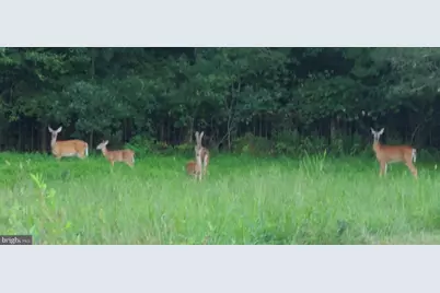 13206 Golden Drive, Sumerduck, VA 22742 - Photo 112