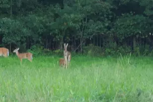 13206 Golden Dr, Sumerduck, VA 22742 - Photo 112