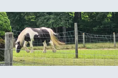13206 Golden Drive, Sumerduck, VA 22742 - Photo 102