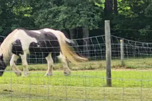 13206 Golden Dr, Sumerduck, VA 22742 - Photo 102