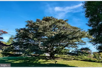 1610 Delaplane Grade Road, Upperville, VA 20184 - Photo 98