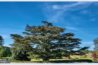 1610 Delaplane Grade Road, Upperville, VA 20184 - Photo 8