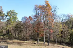 3998 Hidden Valley Ln, Linden, VA 22642 - Photo 36