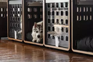 4873 Point Rd, Warrenton, VA 20187 - Photo 8