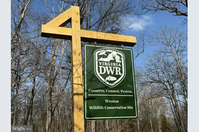 8485 Rouges Road, Warrenton, VA 20187 - Photo 118