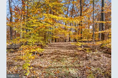 8485 Rogues Road, Warrenton, VA 20187 - Photo 112