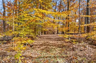 8485 Rogues Rd, Warrenton, VA 20187 - Photo 112