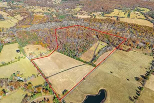 8485 Rogues Rd, Warrenton, VA 20187 - Photo 104