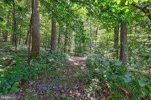 7333 Fox Call Ln, Warrenton, VA 20186 - Photo 52