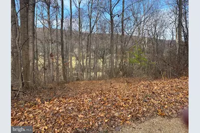 Fiery Run Road, Linden, VA 22642 - Photo 22