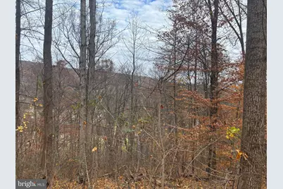 Fiery Run Road, Linden, VA 22642 - Photo 20