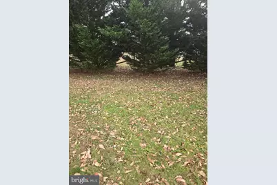 53 Madison Street, Warrenton, VA 20186 - Photo 4