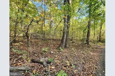 Lots 3 and 4 Ernest Robinson Road, Marshall, VA 20115 - Photo 8