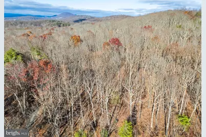 Lots 3 and 4 Ernest Robinson Road, Marshall, VA 20115 - Photo 2