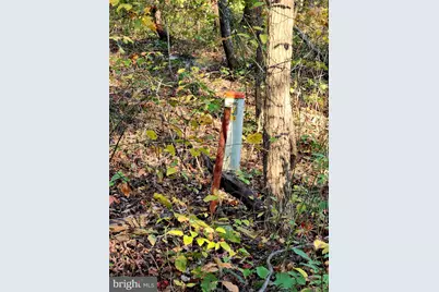 Lots 3 and 4 Ernest Robinson Road, Marshall, VA 20115 - Photo 12