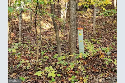 Lots 3 and 4 Ernest Robinson Road, Marshall, VA 20115 - Photo 6