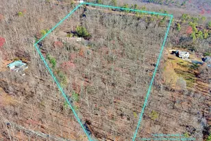 4119 Bull Run Mountain Rd, The Plains, VA 20198 - Photo 6