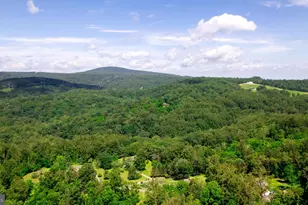4179 Fiery Run Rd, Linden, VA 22642 - Photo 66