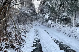 6127 Beverleys Mill Rd, Broad Run, VA 20137 - Photo 28