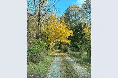 6127 Beverleys Mill Road, Broad Run, VA 20137 - Photo 26