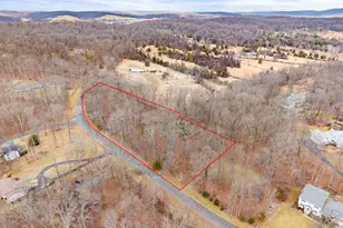 6030 Snow Mountain Rd, Broad Run, VA 20137 - Photo 2