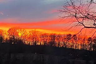 7389 Leeds Manor Rd, Marshall, VA 20115 - Photo 22