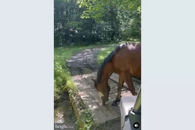 8487 Botha Road, Warrenton, VA 20186 - Photo 64