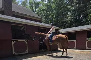 8487 Botha Rd, Warrenton, VA 20186 - Photo 46